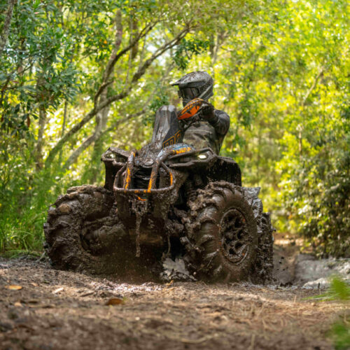 Renegade